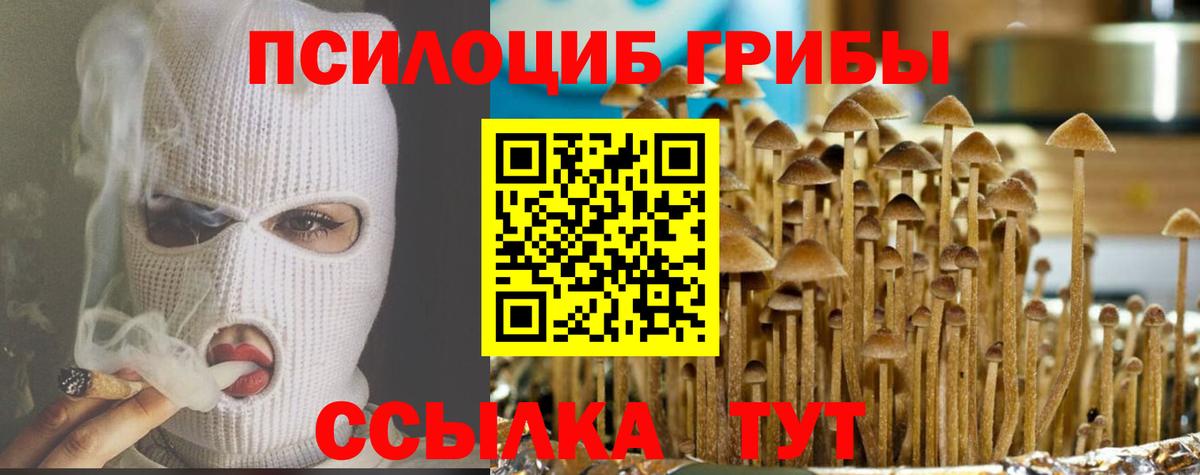 Галлюциногенные грибы Magic Shrooms  Вход с VPN  Куйбышев  как найти закладки  Галлюциногенные грибы мицелий 