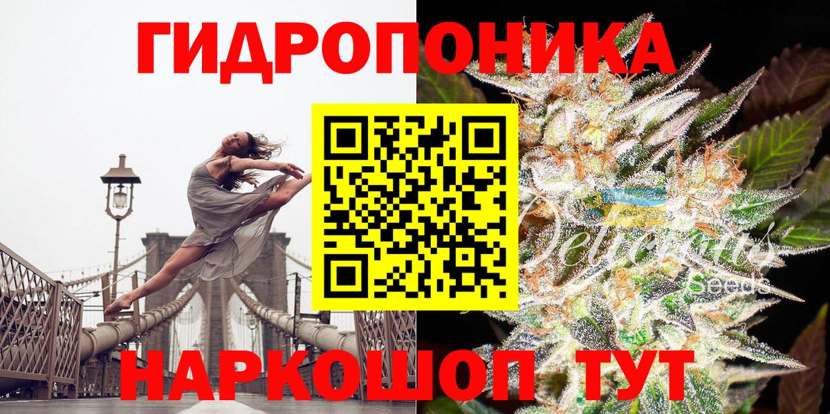 Куйбышев  Бошки Шишки сатива  Каннабис план  Вход с VPN 